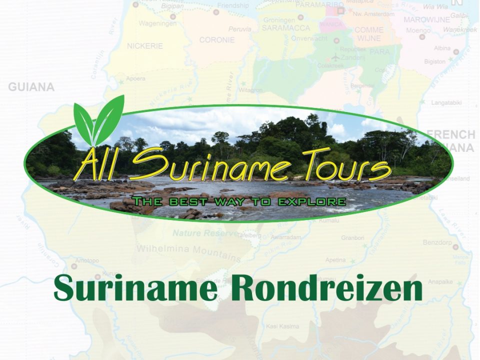 All Suriname Tours
