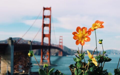 De ultieme reisroute met de camper door West-Amerika