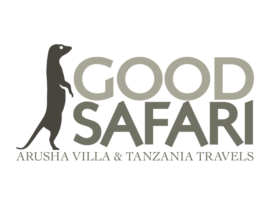 Good Safari