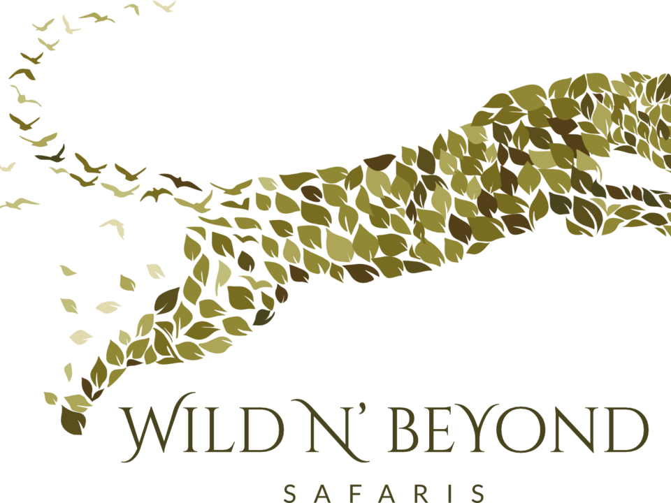 Wild N’ Beyond Safaris Zambia