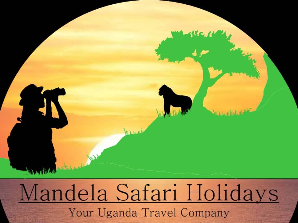 Mandela Safari Holidays