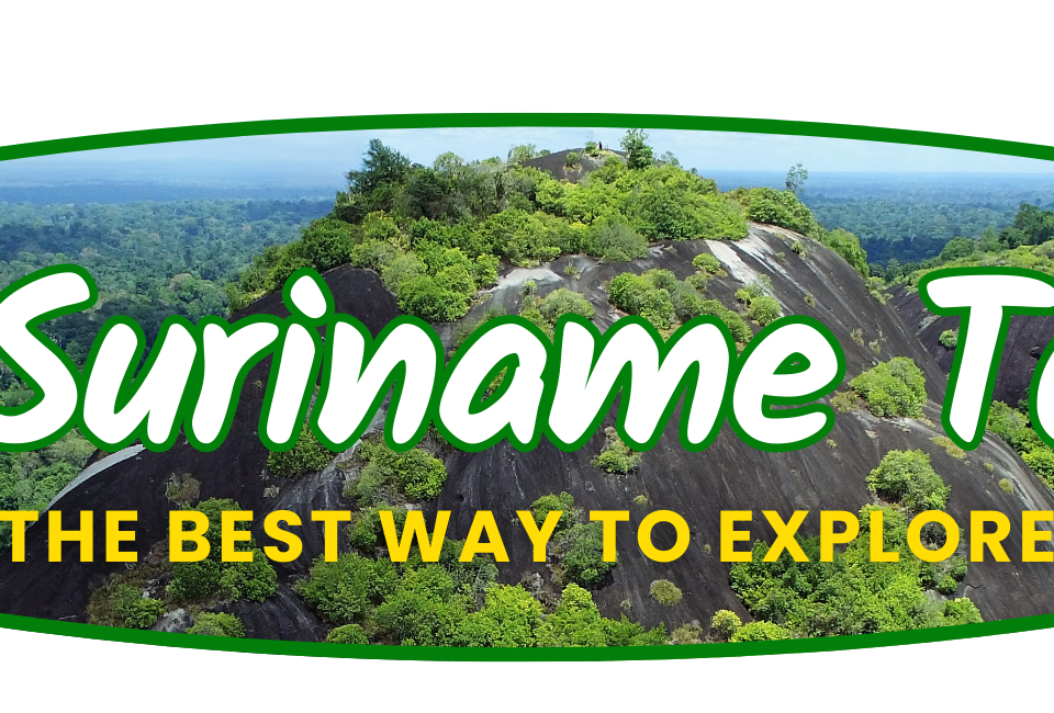 All Suriname Tours