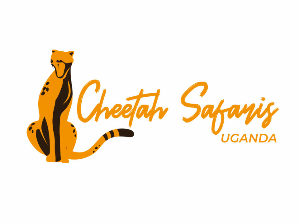 CHEETAH SAFARIS UGANDA