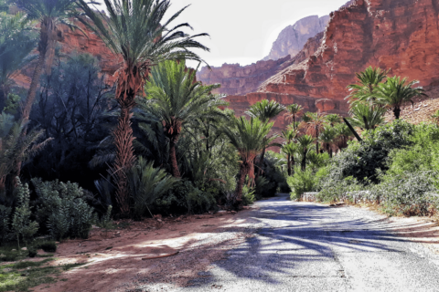 7 x Wist je dat over het andere Marokko