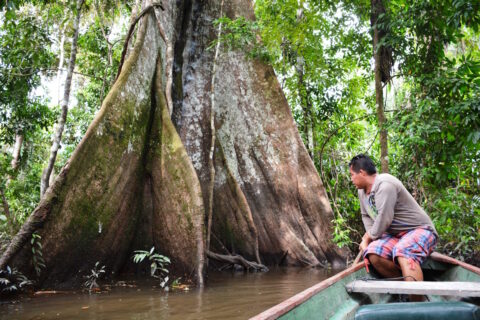 man in bootje in de amazone in peru