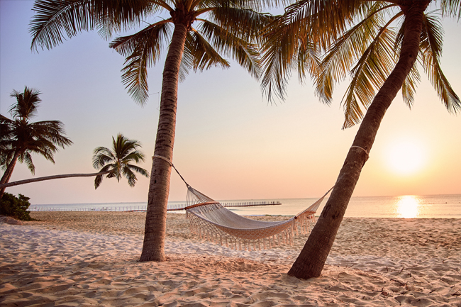 Hangmat tussen palmbomen op strand met ondergaande zon