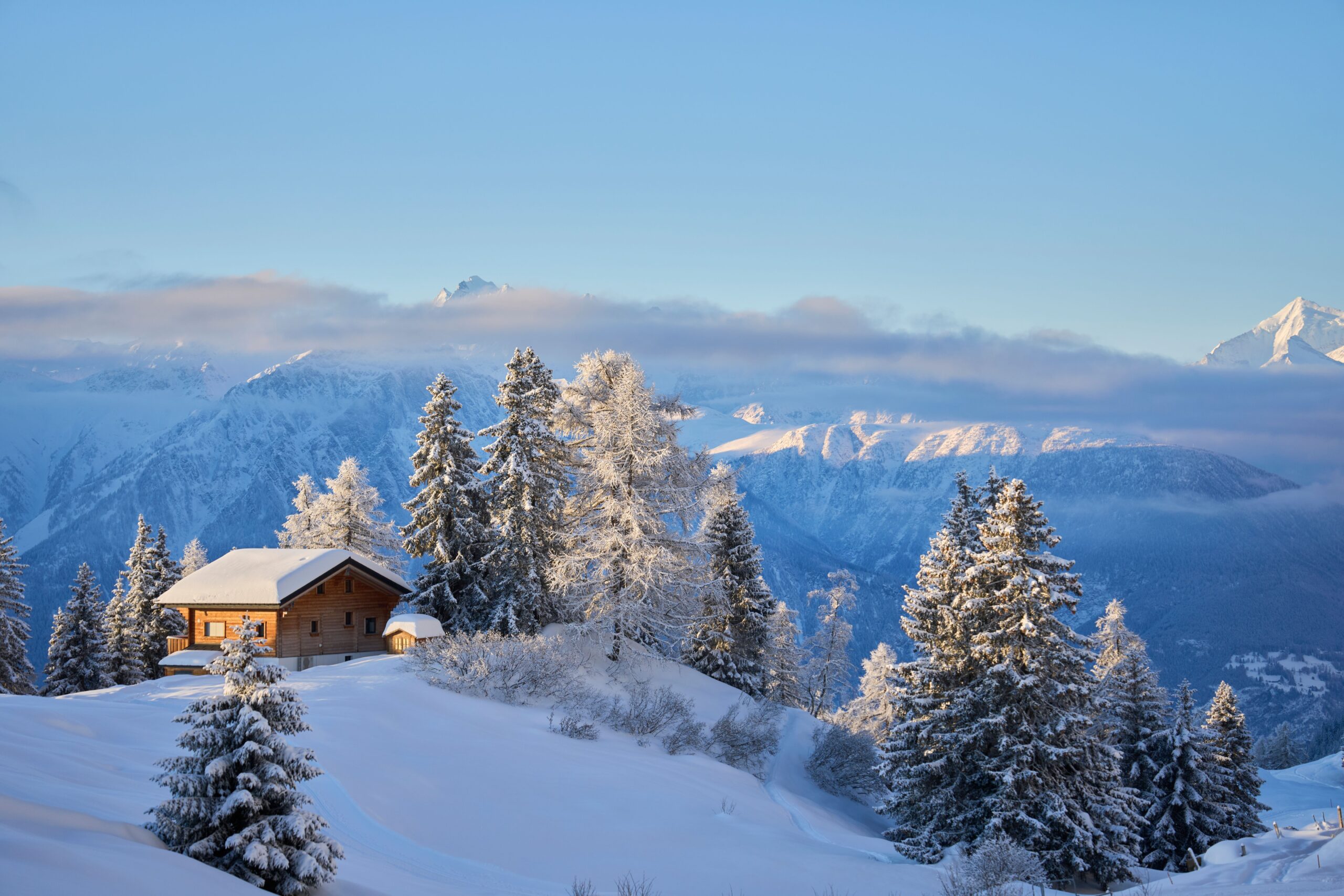 Winters landschap