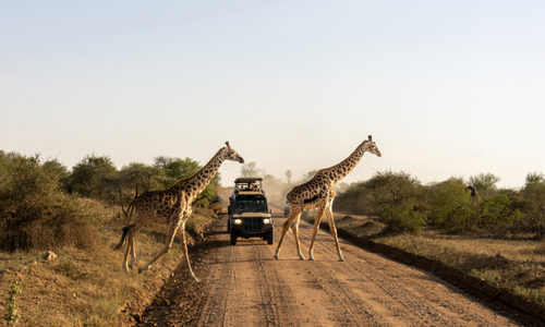Safari in Afrika