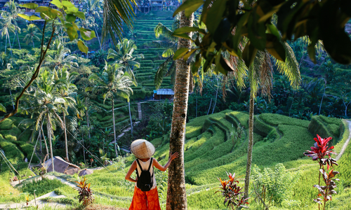 Indonesië