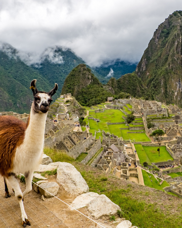 machu picchu