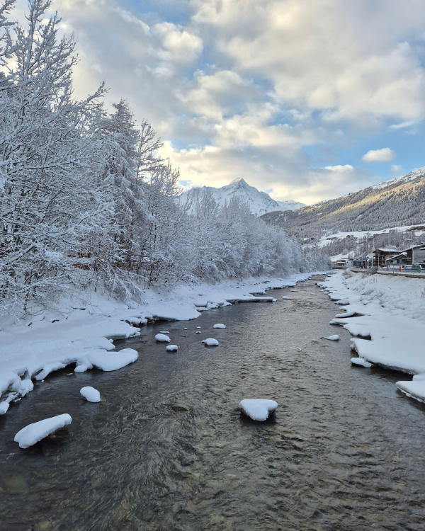 winters landschap