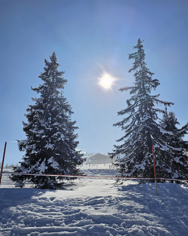 winters landschap